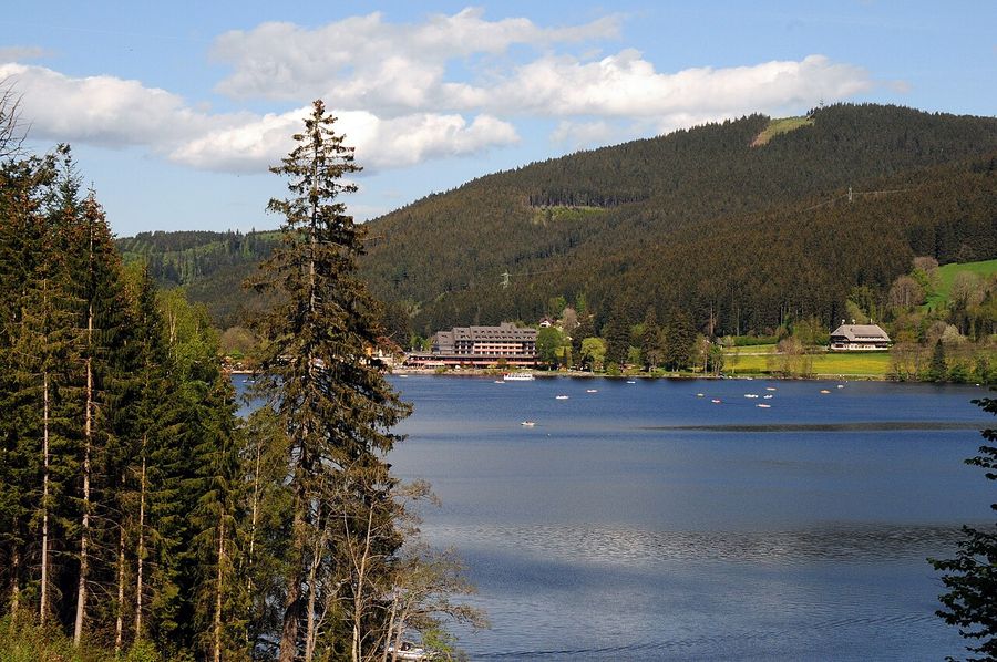 Lago Titisee