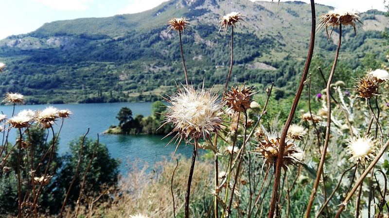 Embalse de Lanuza