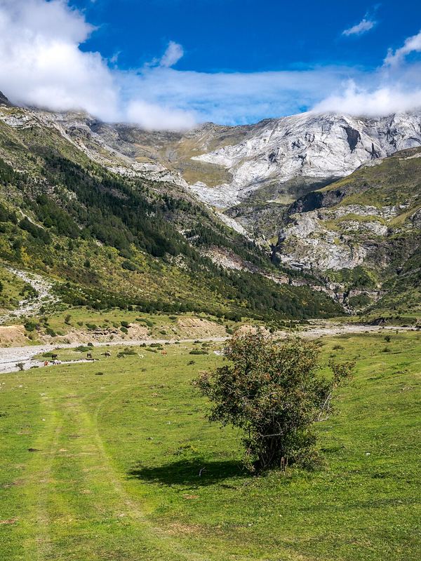 Llanos de La Larri